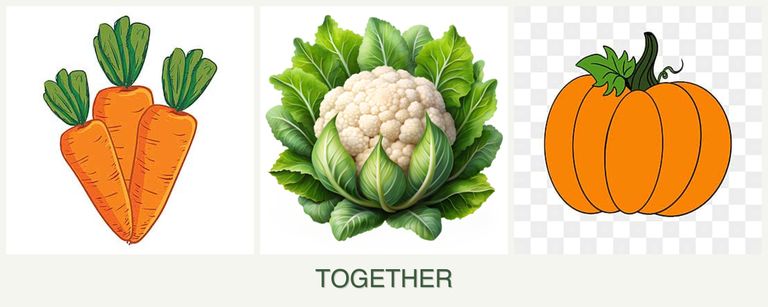 Can you plant carrots, cauliflower and pumpkin together?