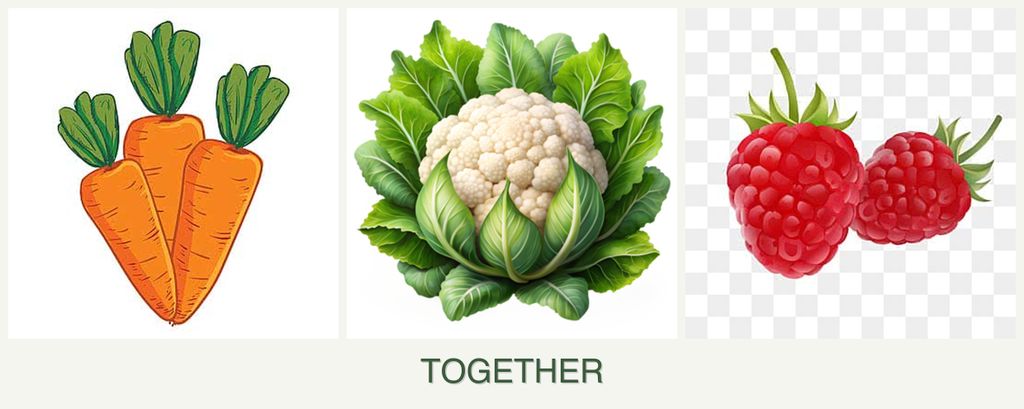 Can you plant carrots, cauliflower and raspberries together?