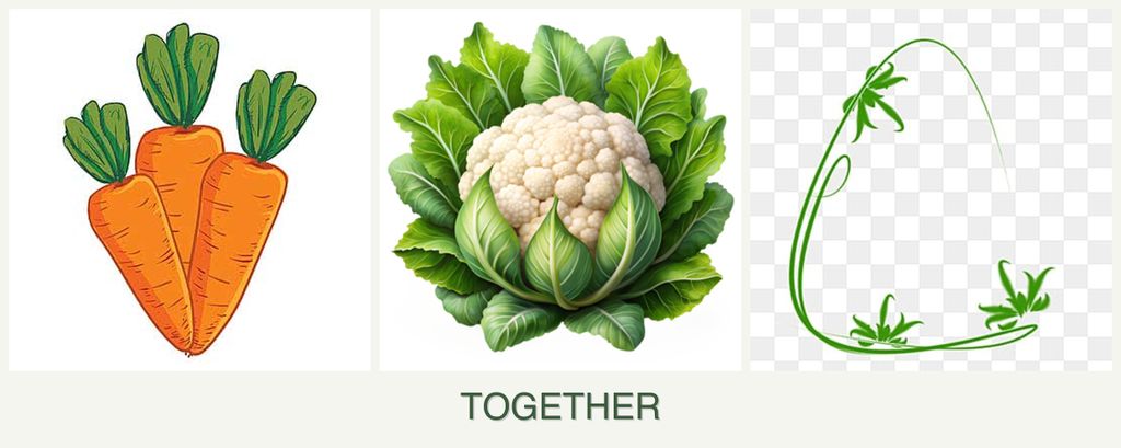 Can you plant carrots, cauliflower and tarragon together?