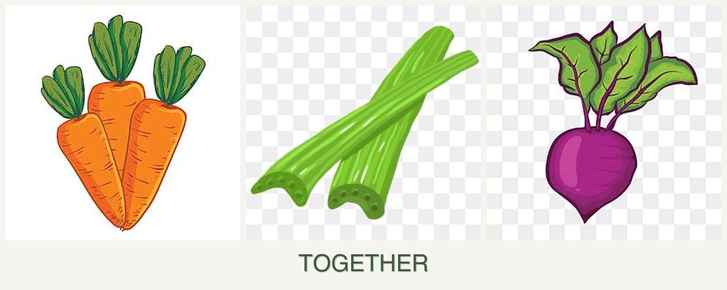 Can you plant carrots, celery and beets together?