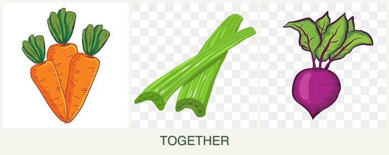 Can you plant carrots, celery and beets together?