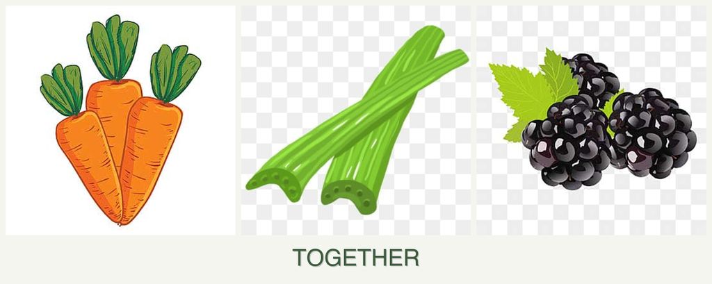 Can you plant carrots, celery and blackberries together?