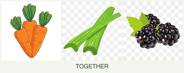Can you plant carrots, celery and blackberries together?