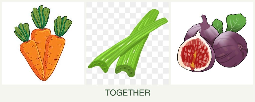 Can you plant carrots, celery and figs together?