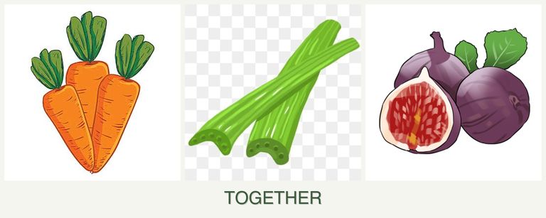 Can you plant carrots, celery and figs together?