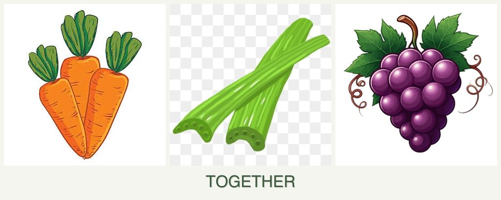 Can you plant carrots, celery and grapes together?