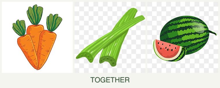 Can you plant carrots, celery and melons together?
