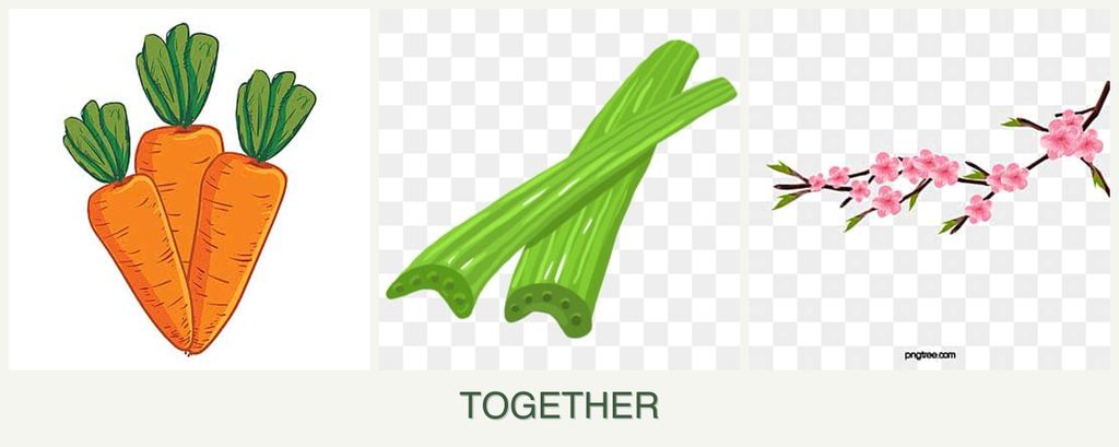 Can you plant carrots, celery and peaches together?