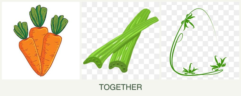 Can you plant carrots, celery and tarragon together?