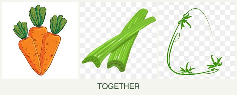 Can you plant carrots, celery and tarragon together?