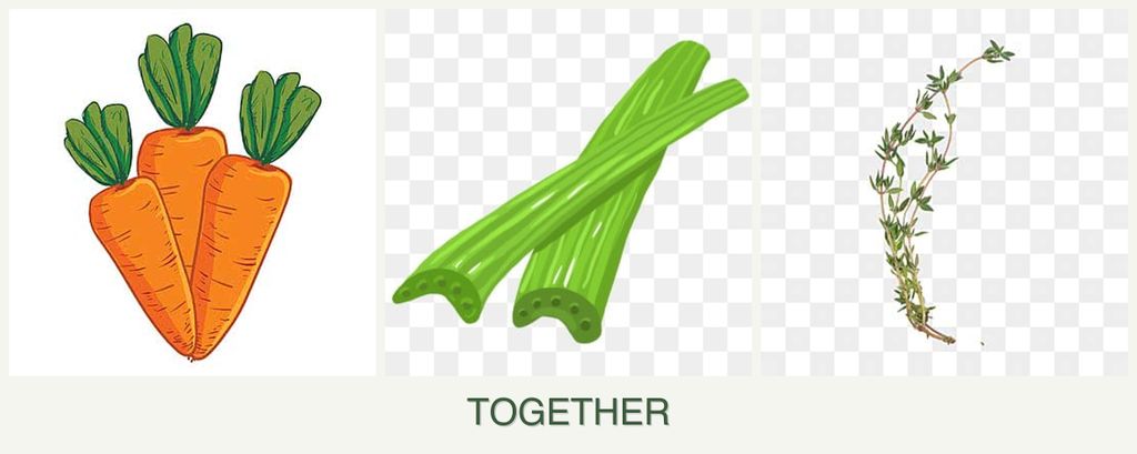 Can you plant carrots, celery and thyme together?