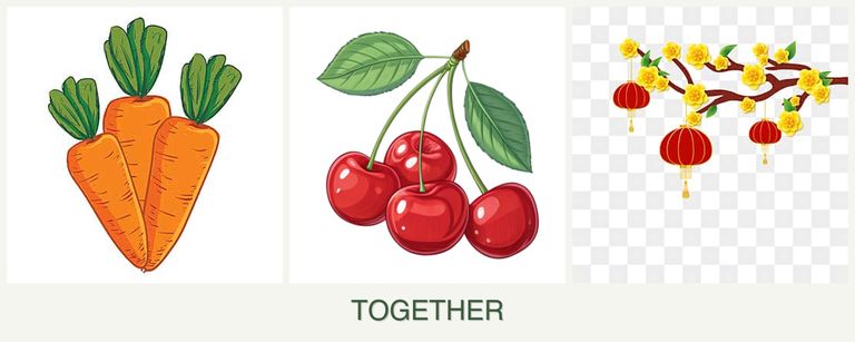 Can you plant carrots, cherries and apricots together?