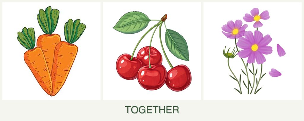 Can you plant carrots, cherries and cosmos together?