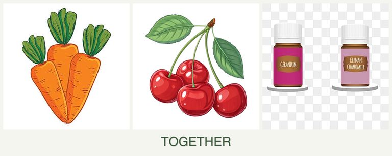 Can you plant carrots, cherries and geraniums together?