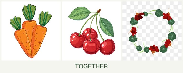 Can you plant carrots, cherries and nasturtiums together?
