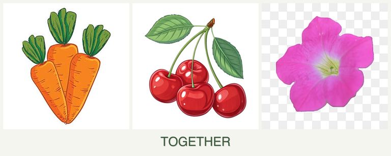 Can you plant carrots, cherries and petunias together?