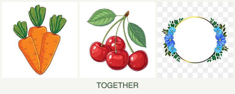 Can you plant carrots, cherries and zinnias together?
