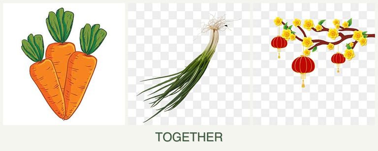 Can you plant carrots, chives and apricots together?