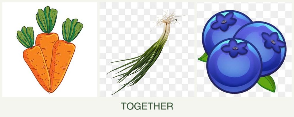 Can you plant carrots, chives and blueberries together?