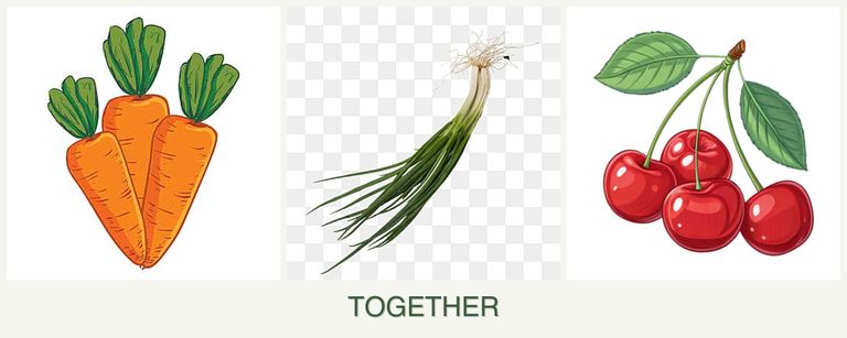 Can you plant carrots, chives and cherries together?