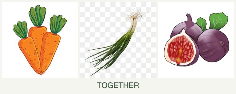 Can you plant carrots, chives and figs together?