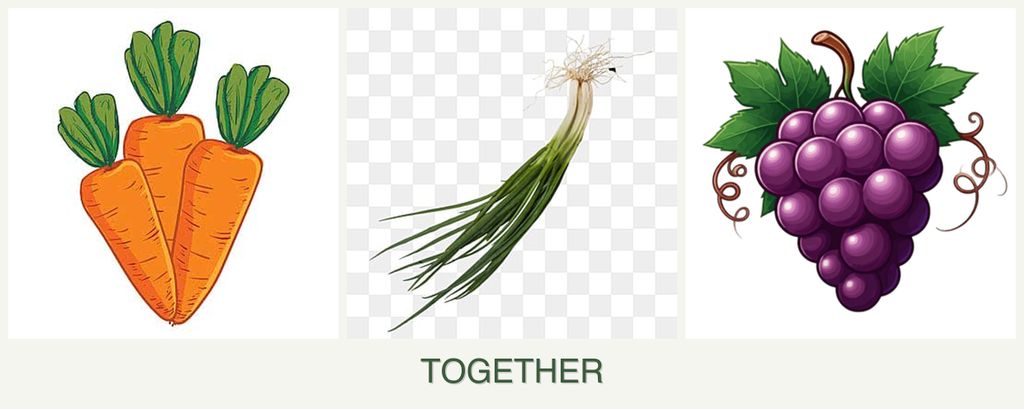 Can you plant carrots, chives and grapes together?
