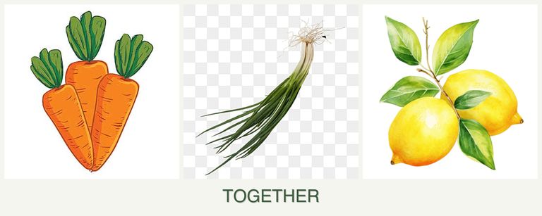 Can you plant carrots, chives and lemons together?