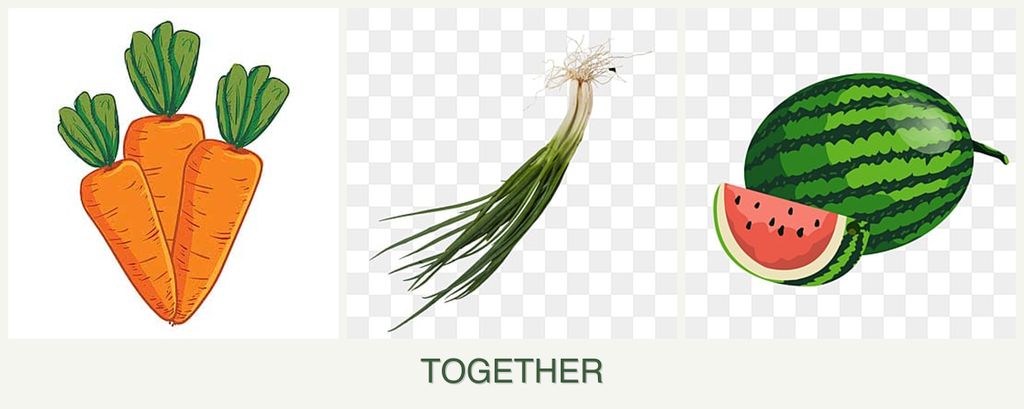 Can you plant carrots, chives and melons together?