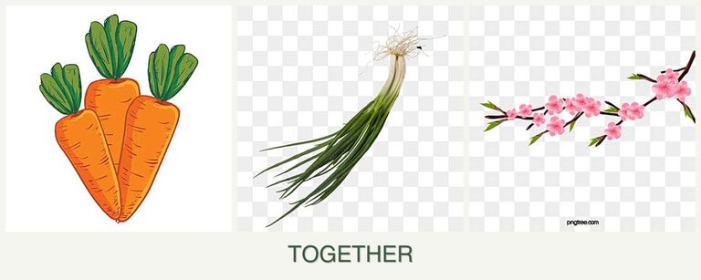 Can you plant carrots, chives and peaches together?