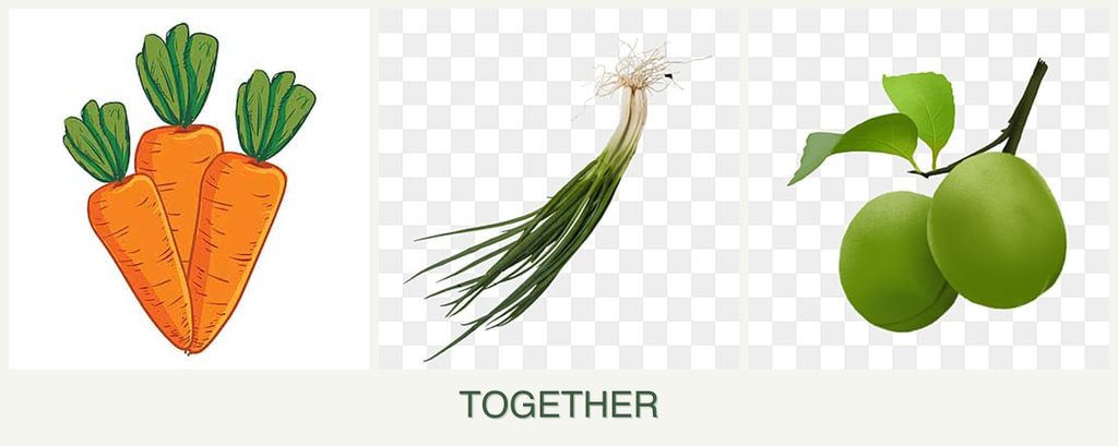 Can you plant carrots, chives and plums together?