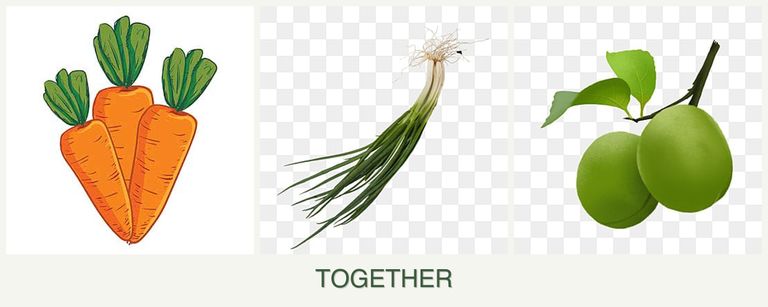 Can you plant carrots, chives and plums together?