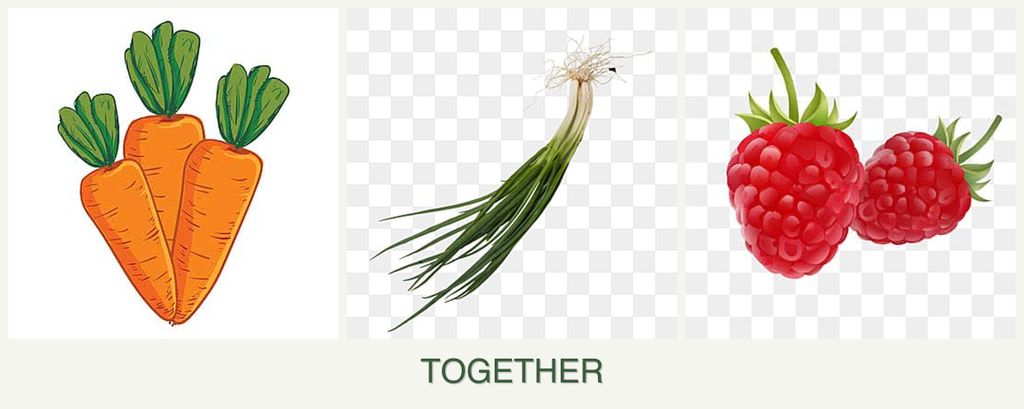 Can you plant carrots, chives and raspberries together?
