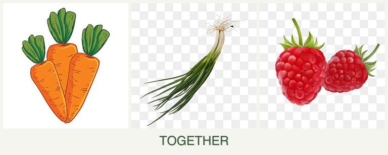 Can you plant carrots, chives and raspberries together?