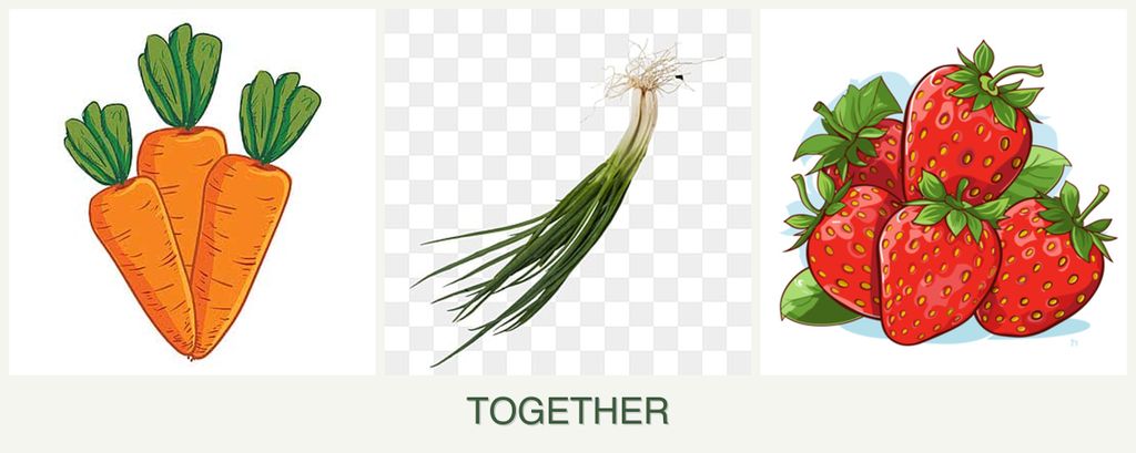 Can you plant carrots, chives and strawberries together?
