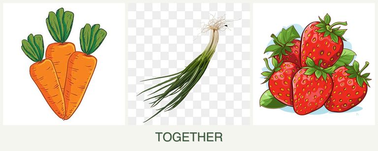 Can you plant carrots, chives and strawberries together?