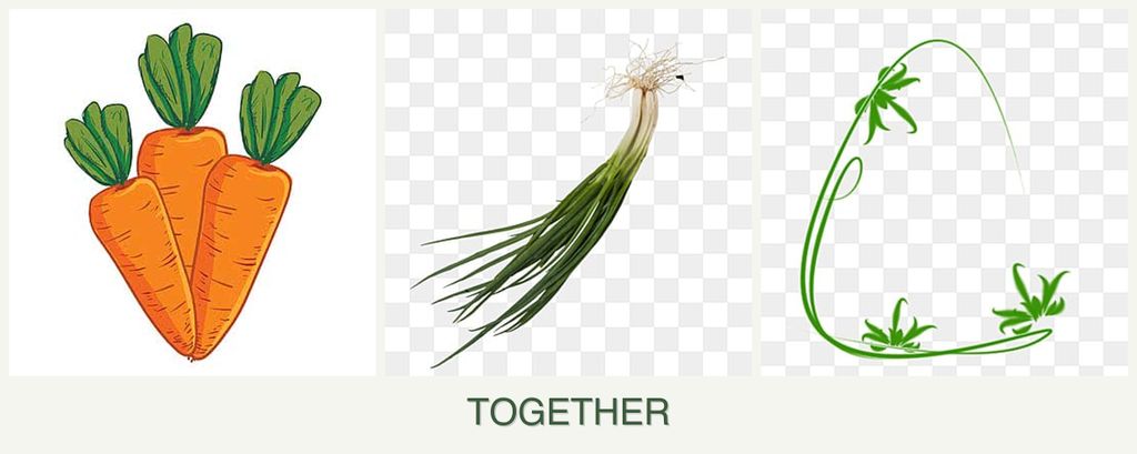 Can you plant carrots, chives and tarragon together?
