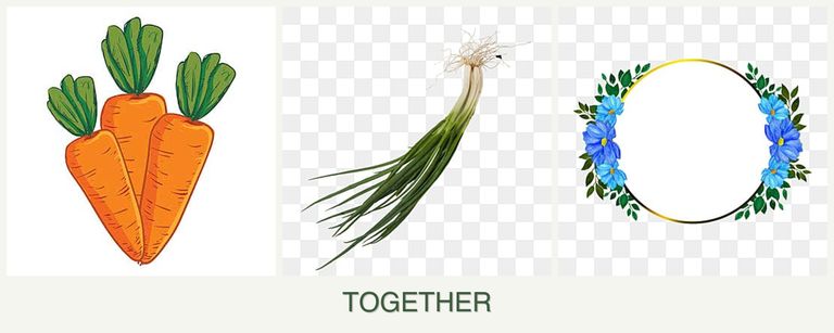Can you plant carrots, chives and zinnias together?