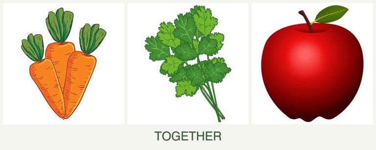 Can you plant carrots, cilantro and apples together?
