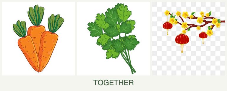 Can you plant carrots, cilantro and apricots together?