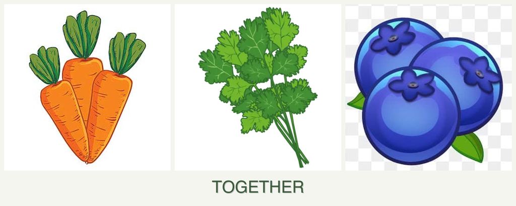 Can you plant carrots, cilantro and blueberries together?