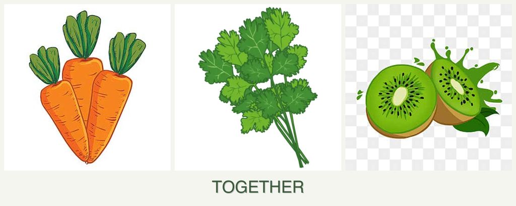Can you plant carrots, cilantro and kiwi together?