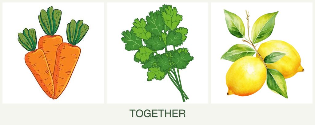 Can you plant carrots, cilantro and lemons together?
