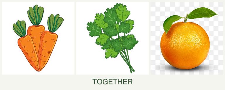 Can you plant carrots, cilantro and oranges together?