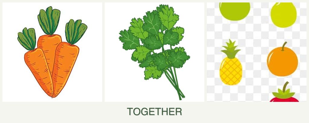 Can you plant carrots, cilantro and pears together?