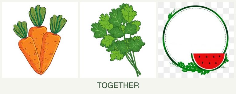Can you plant carrots, cilantro and watermelons together?