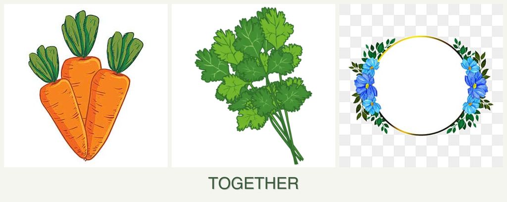 Can you plant carrots, cilantro and zinnias together?