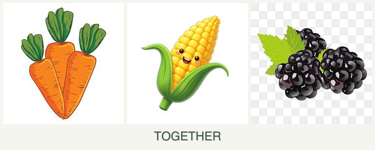 Can you plant carrots, corn and blackberries together?