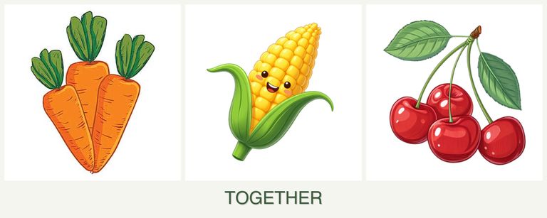 Can you plant carrots, corn and cherries together?