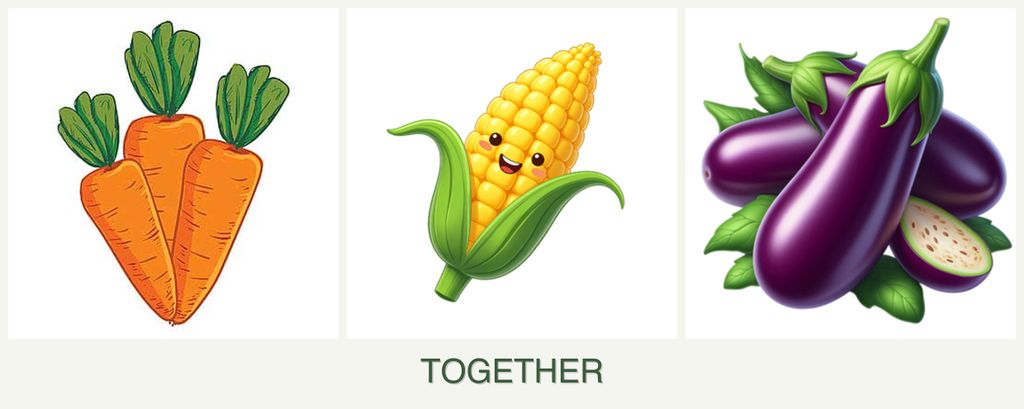 Can you plant carrots, corn and eggplant together?