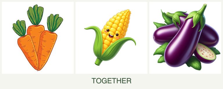 Can you plant carrots, corn and eggplant together?